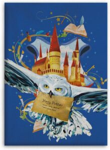 Harry Potter fleecedekens Hedwig 110 x 140 cm