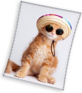 Sweet Home fleeceplaid coole cat 150x200cm polyester