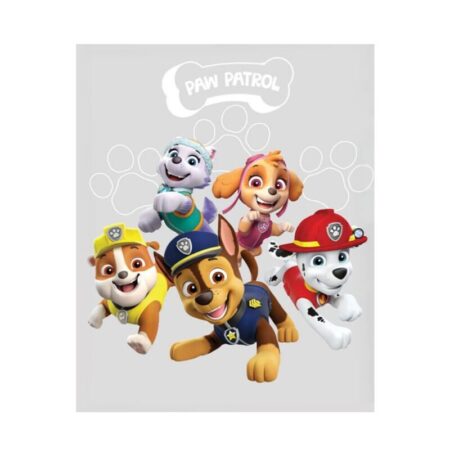 Paw Patrol fleece plaid Friends grijs - 150 x 200 cm - polyester